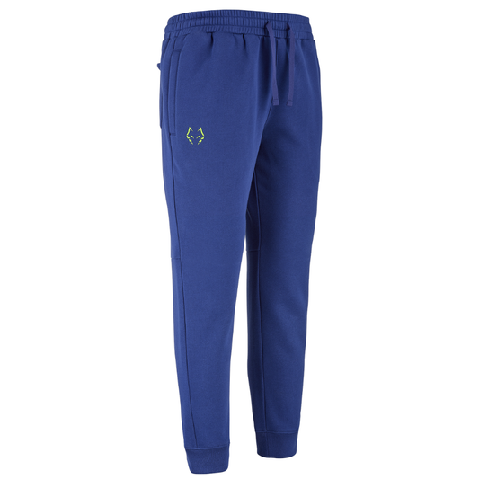 Pantalon de survêtement Babolat Sweat Pant Lebron Bleu