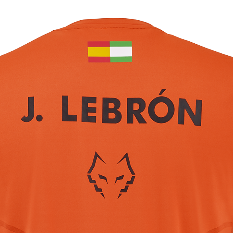 T-shirt Babolat Replica Crew Neck Tee Lebron Orange
