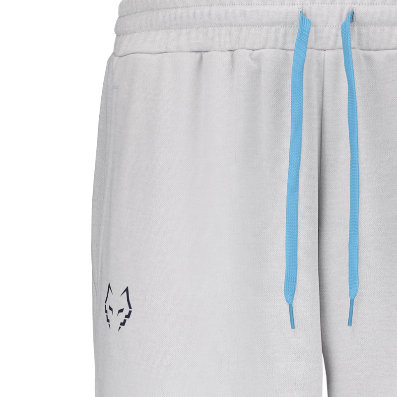 Pantalon de survêtement Babolat Lebron Gris Clair