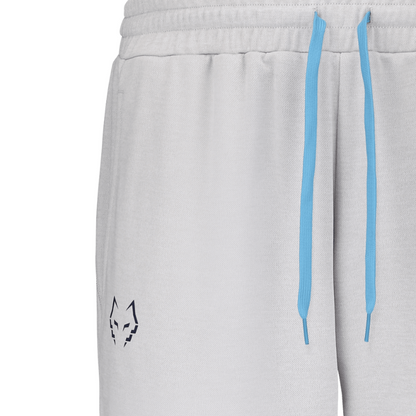Pantalon de survêtement Babolat Lebron Gris Clair