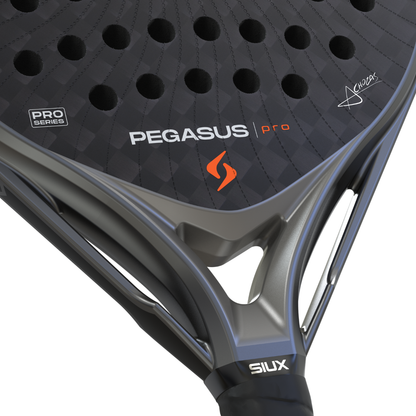 TEST CLUB - Raquette de padel Siux Pegasus 4 Gris 2026
