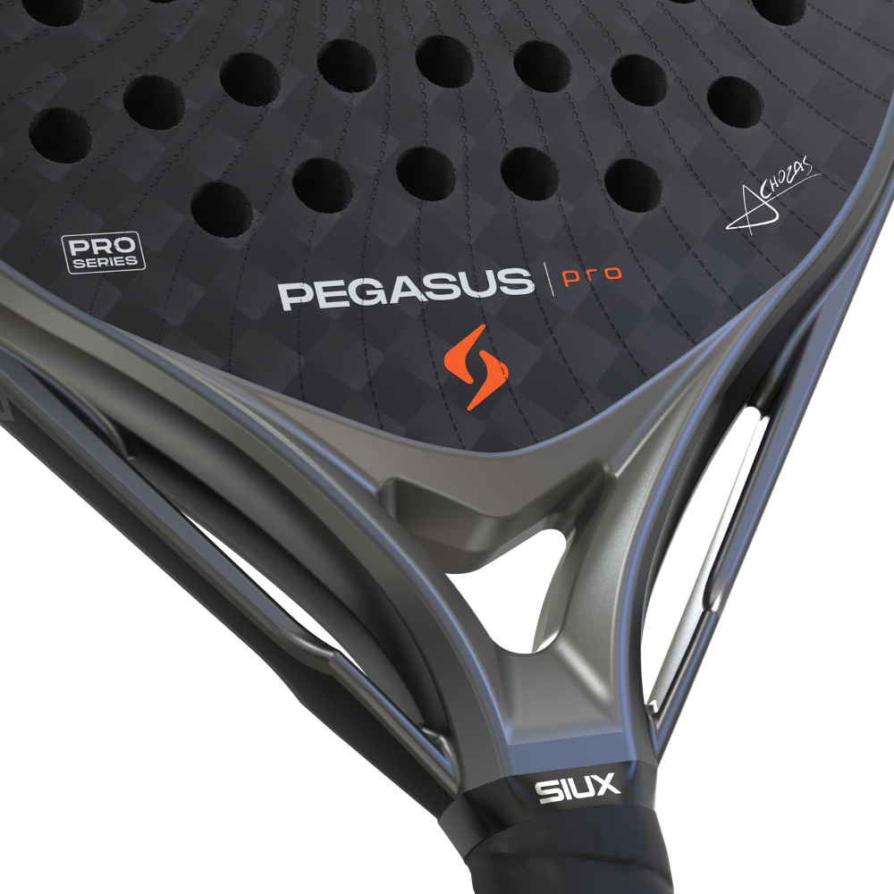 RAQUETTE DE TEST - Raquette de padel Siux Pegasus 4 Gris 2026