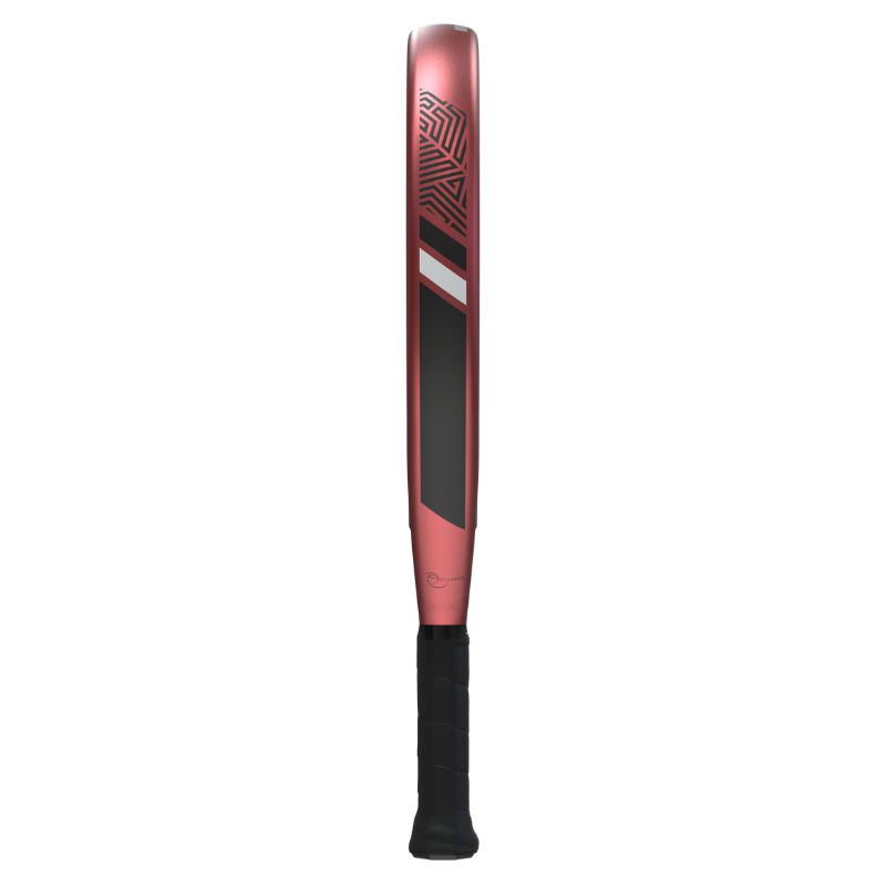 Raquette de padel Siux Diablo Revolution Go 2024