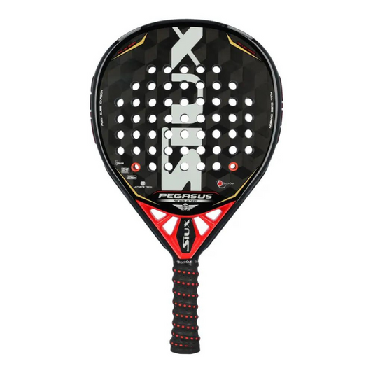 Raquette de padel Siux Pegasus Revolution Black Cube